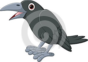 Cartoon crow isolated on white background