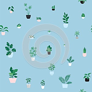 Houseplants pattern
