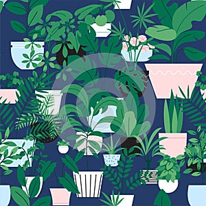 Houseplants
