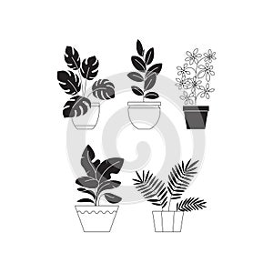 houseplants