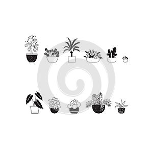 houseplants
