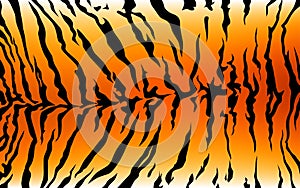 Print stripe animals jungle tiger fur texture pattern white orange yellow black photo