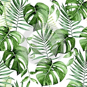 print with tropical green leaves on a white background. palm leaves, monstera, jungle plants
