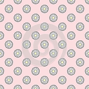 Seamless pattern with daisies