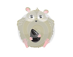 Print. Vector cartoon hamster with a seed. Sweet rodent. Cartoon character.Little fluffy hamster. gray wool