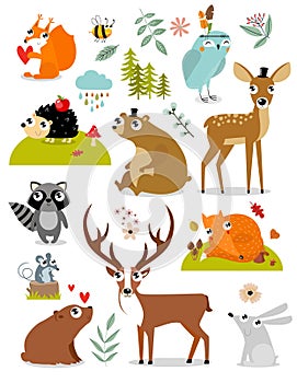 Print. Vector forest animals collection