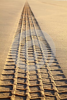 Print of wheel tread on a sand