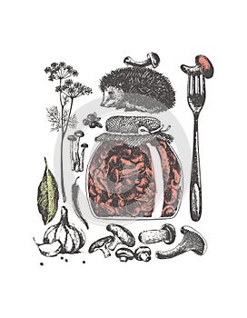 PrintA selection of elements from plants and animals to create works about pickles and marinades from wild mushrooms, vegetables a