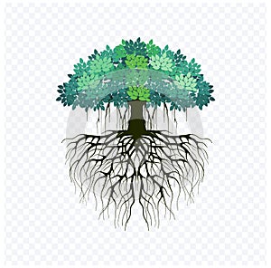 Printable banyan tree image with strong roots