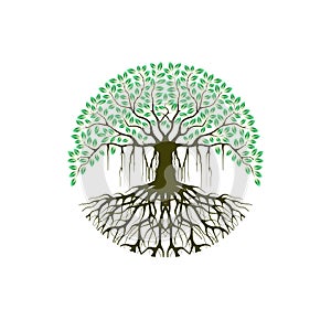 Printable banyan tree image vector isolated