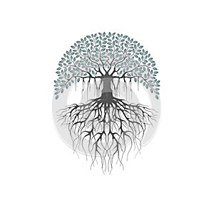 Printable banyan tree image vector isolated