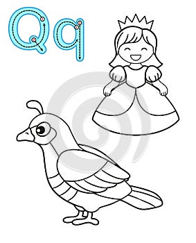 Printable coloring page for kindergarten and preschool. Card for study English. Vector coloring book alphabet. Letter Q. quail, photo