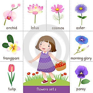 Printable flash card for flowers and little girl picking flower