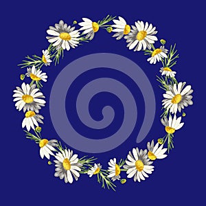 PrintBeautiful wreath of field daisies.