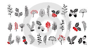 PrintChristmas vector plant, pine cone and leaves, branch spruce and fir, evergreen icon, winter tree, holly berry, mistletoe,