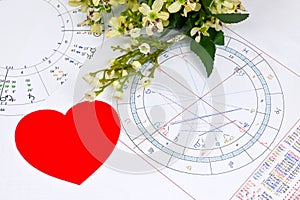 Printed astrology birth chart and white flowers, heart. Love affair astrology blueprint. Esoteric and life mapping blueprint. when