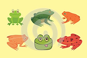 PrintExotic amphibian set. Frogs in different styles Cartoon Vector Illustration . tropical animals