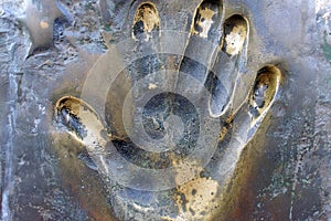 Prints of human hand.