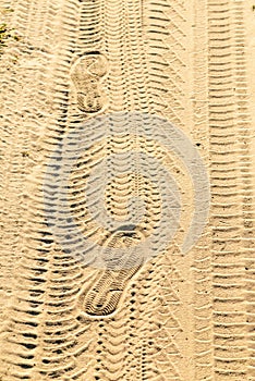 Prints in the Sand