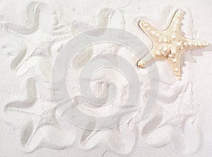 prints of a starfish on a sandy beach. sealife pattern as summer background. traces of starfish on white sand. exotic