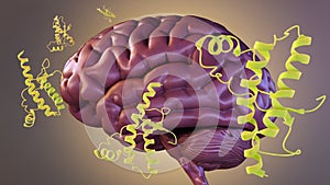 prions protein molecules scattered on the human brain