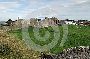 The Priory and village, Holy Island