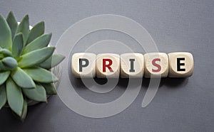 Prise symbol. Wooden cubes with word Prise. Beautiful grey background with succulent plant. Businessman abd Prise concept. Copy