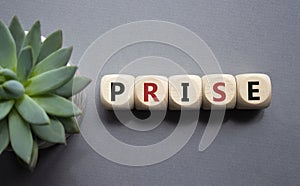 Prise symbol. Wooden cubes with word Prise. Beautiful grey background with succulent plant. Businessman abd Prise concept. Copy photo