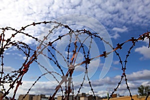 Prison. Barbed wire. Barbed wire on blue sky background with white clouds. Wire boom. Military conflict . Syria.