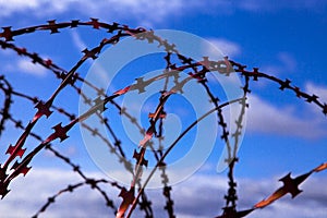 Prison. Barbed wire. Barbed wire on blue sky background with white clouds. Wire boom. Military conflict . Syria.