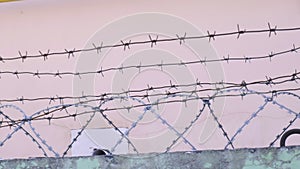 prison barbed wire over brick fence against pink wall. incarceration, jail