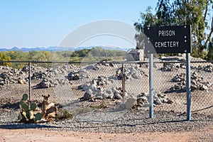 Prison cemetery, Yuma, Arizona