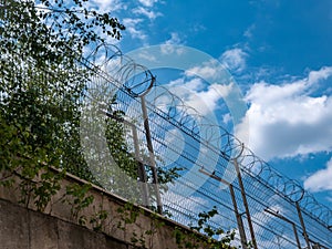 Prison fence. Concrete wall and barbed wire over the fence.