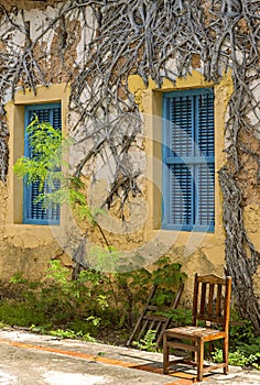 Prison island, Zanzibar, Tanzania . Blue window frames on yellow