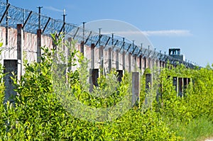 Prison wall and sharp wire barbs coiled