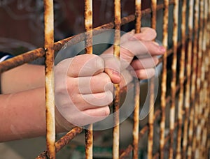 Prisoner hands photo
