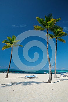 Pristine beach of Bahama photo