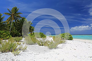 Pristine beach, Christmas Island, Kiribati