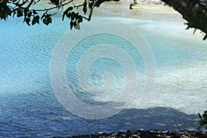 Pristine beach framed by a tree in a tropical island