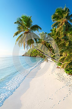 Pristine Beach in Seychelles