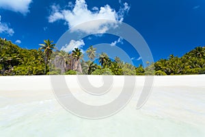 Pristine Beach in Seychelles