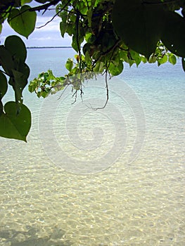 Pristine Beach of Tonga