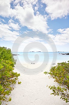 Pristine beach on an uninhabited island, Galapagos Islands, Ecuador