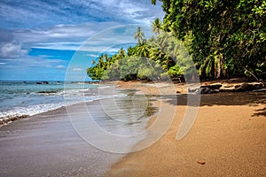 The pristine beauty of Cano Island, Osa Peninsular, in Costa Rica