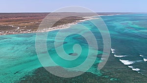 Pristine Coral Reef in turquoise water seen from above. Top down aerial footage. Ningaloo Reef, Australian tourism.