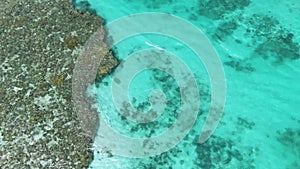 Pristine Coral Reef in turquoise water seen from above. Top down aerial footage. Ningaloo Reef, Australian tourism.