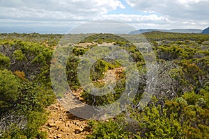 Landscape in Tasmania