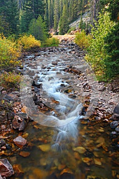 Pristine Montana Stream