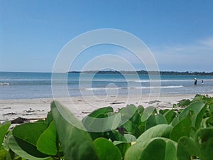 Pristine natural beaches