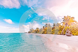 Pristine nature, shore beachfront. Tropical paradise, sunset sunrise landscape, beach scene